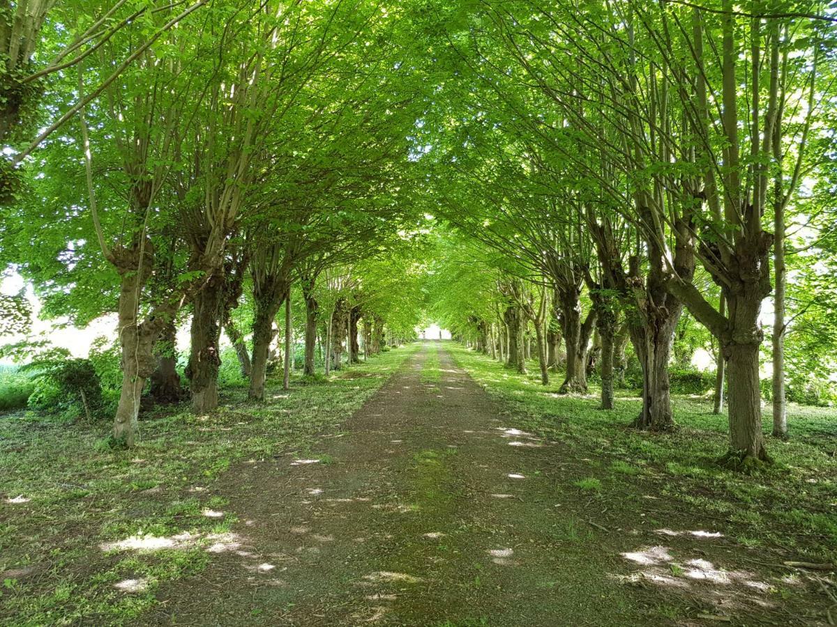 Отель Domaine Du Manoir De Vains Экстерьер фото